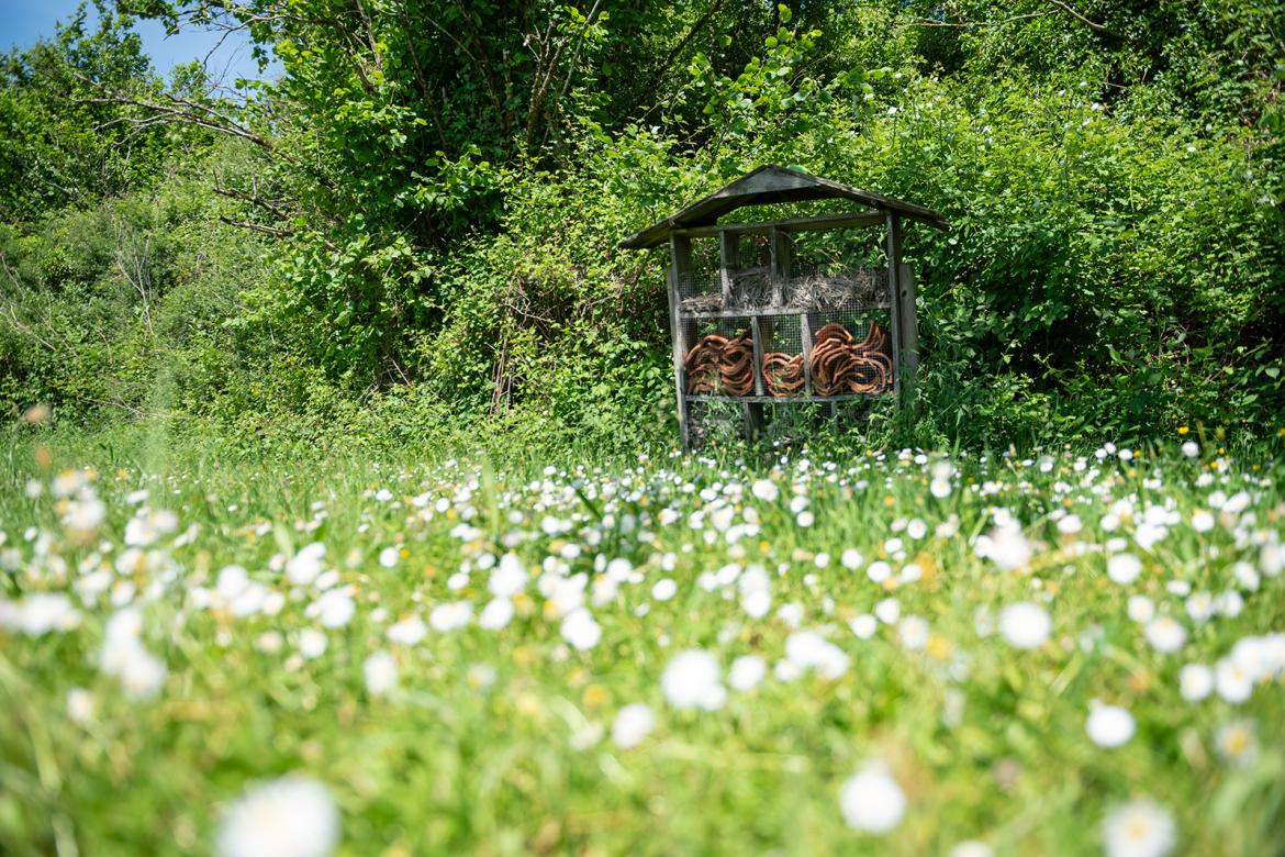 LE CIRCUIT DU GRAND TERRIER | 8KM